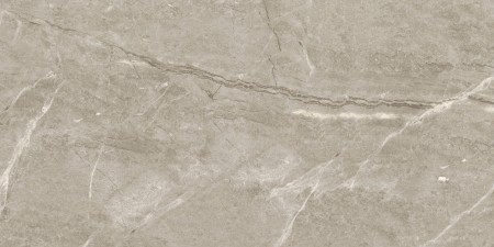  LeeDo Ceramica Breccia Silver Venato POL 120x60x0.55 . 00-00003333