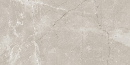  LeeDo Ceramica Nuvola Grigio POL 30x60 . 00-00001098